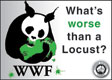 Panda_Killer_MDB_Joke_WWF_Locust