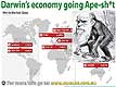 Darwins economy going ApeSht